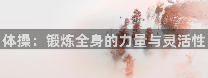 谈球吧体育：体操：锻炼全身的力量与灵活性