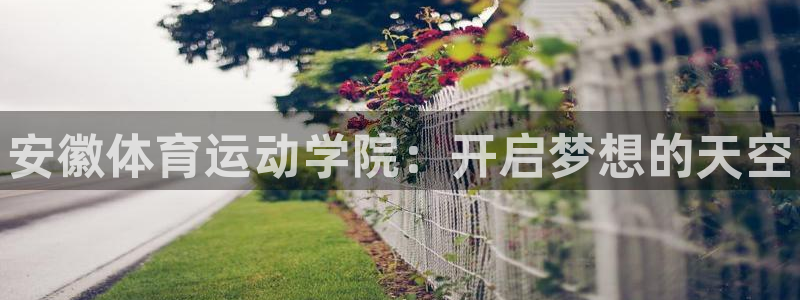 谈球吧：安徽体育运动学院：开启梦想的天空