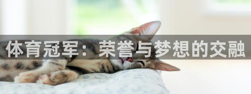 谈球吧体育官网：体育冠军：荣誉与梦想的交融