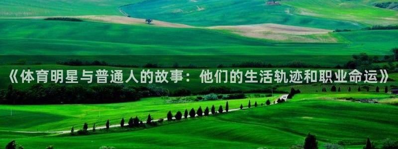 谈球吧体育官网：《体育明星与普通人的故事：他们的生活轨迹和职业命运》