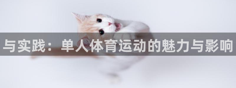 谈球吧体育官网：与实践：单人体育运动的魅力与影响