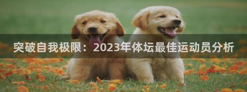 谈球吧：突破自我极限：2023年体坛最佳运动员分析