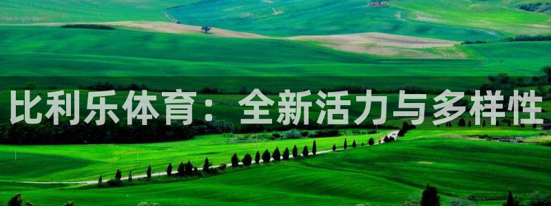 谈球吧：比利乐体育：全新活力与多样性