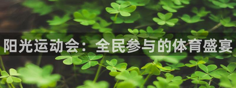 谈球吧体育官网：阳光运动会：全民参与的体育盛宴