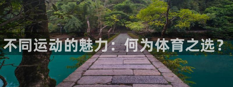 谈球吧：不同运动的魅力：何为体育之选？