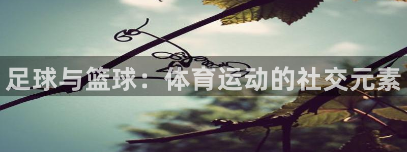 谈球吧体育：足球与篮球：体育运动的社交元素