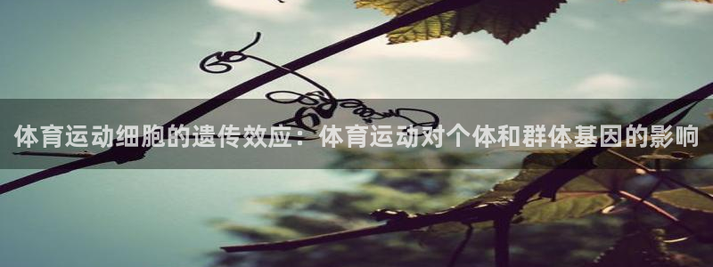谈球吧体育：体育运动细胞的遗传效应：体育运动对个体和群体基因的影响