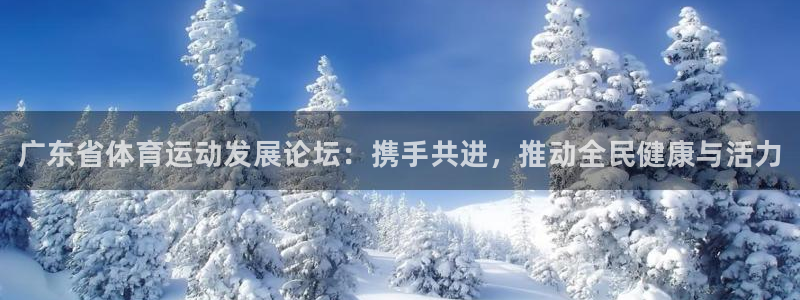 谈球吧体育：广东省体育运动发展论坛：携手共进，推动全民健康与活力