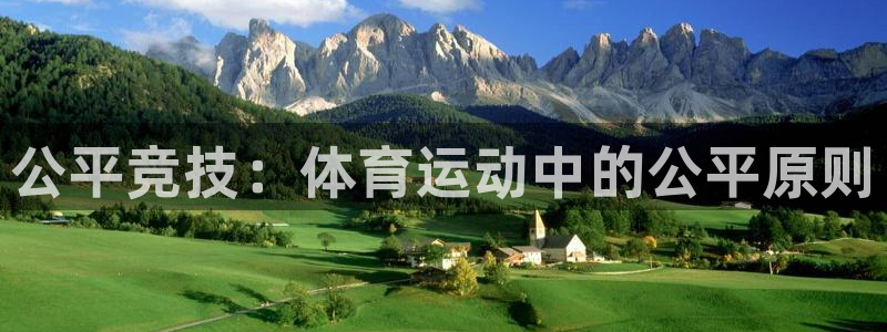谈球吧体育：公平竞技：体育运动中的公平原则
