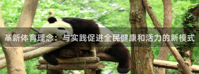 谈球吧体育：革新体育理念：与实践促进全民健康和活力的新模式