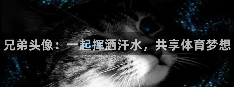 谈球吧体育官网：兄弟头像：一起挥洒汗水，共享体育梦想