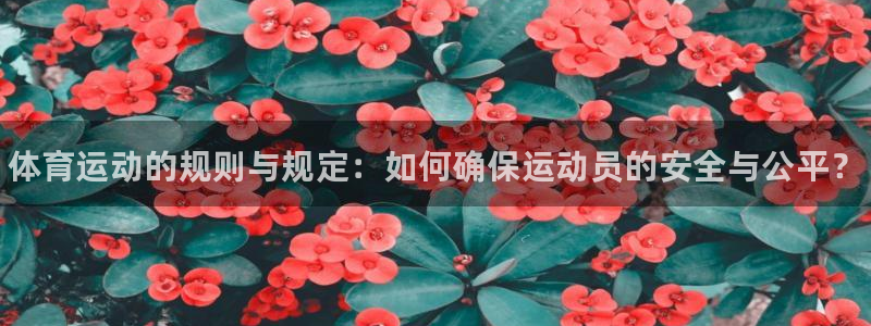谈球吧体育官网：体育运动的规则与规定：如何确保运动员的安全与公平？