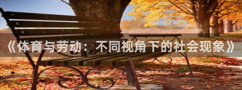 谈球吧体育官网：《体育与劳动：不同视角下的社会现象》