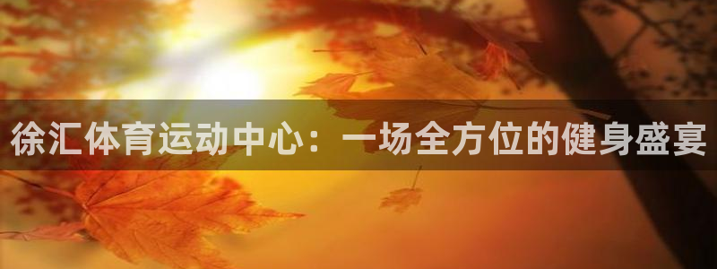 谈球吧体育官网：徐汇体育运动中心：一场全方位的健身盛宴