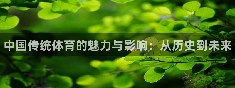 谈球吧体育：中国传统体育的魅力与影响：从历史到未来