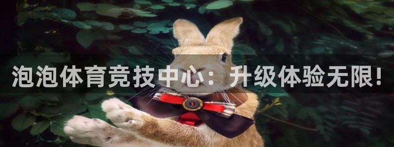 谈球吧：泡泡体育竞技中心：升级体验无限!