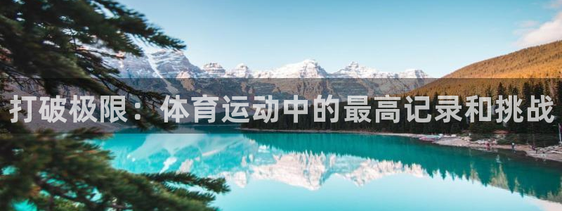 谈球吧体育官网：打破极限：体育运动中的最高记录和挑战