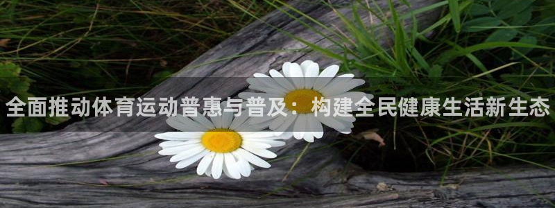 谈球吧：全面推动体育运动普惠与普及：构建全民健康生活新生态
