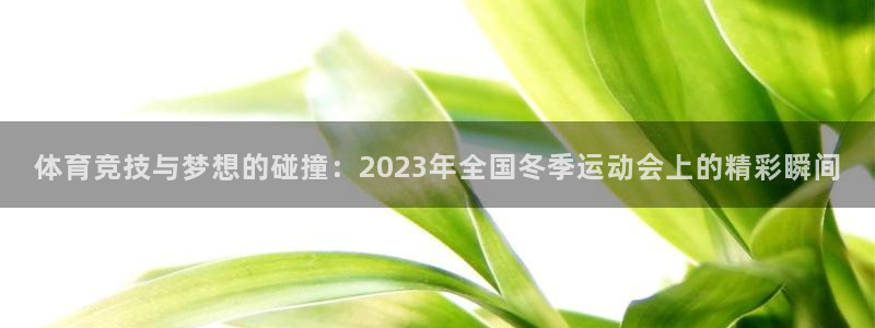 谈球吧：体育竞技与梦想的碰撞：2023年全国冬季运动会上的精彩瞬间