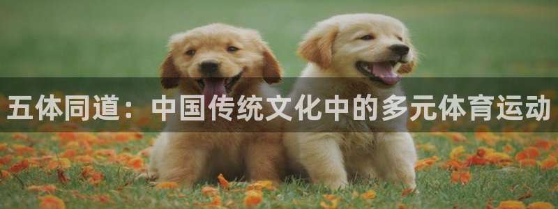 谈球吧：五体同道：中国传统文化中的多元体育运动