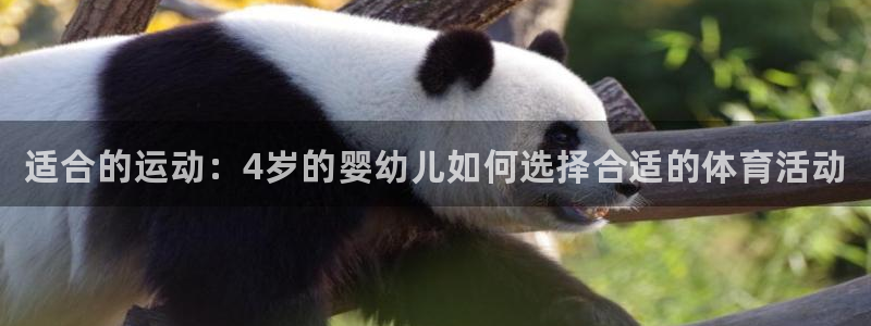 谈球吧体育：适合的运动：4岁的婴幼儿如何选择合适的体育活动