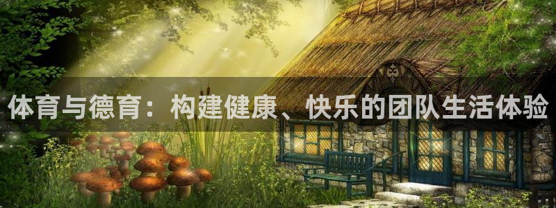 谈球吧体育官网：体育与德育：构建健康、快乐的团队生活体验