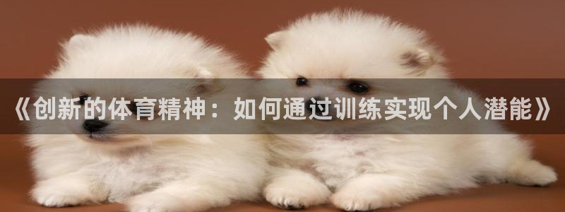谈球吧体育：《创新的体育精神：如何通过训练实现个人潜能》