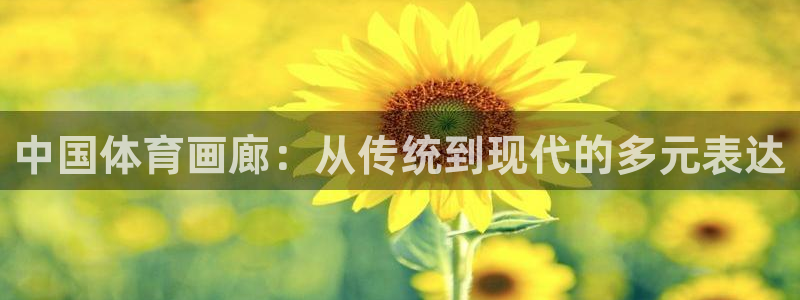 谈球吧：中国体育画廊：从传统到现代的多元表达
