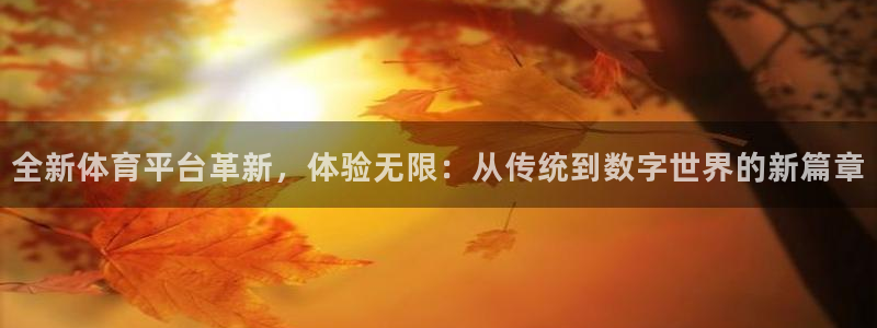 谈球吧体育：全新体育平台革新，体验无限：从传统到数字世界的新篇章
