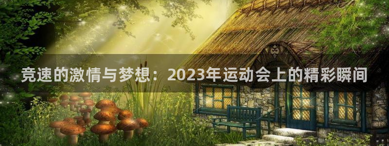 谈球吧体育官网：竞速的激情与梦想：2023年运动会上的精彩瞬间