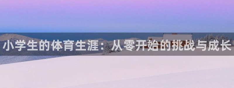谈球吧：小学生的体育生涯：从零开始的挑战与成长