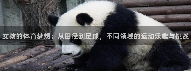 谈球吧体育官网：女孩的体育梦想：从田径到足球，不同领域的运动乐趣与挑战